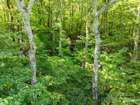 Lot 25 Panther Mountain Road Zirconia NC 28790
