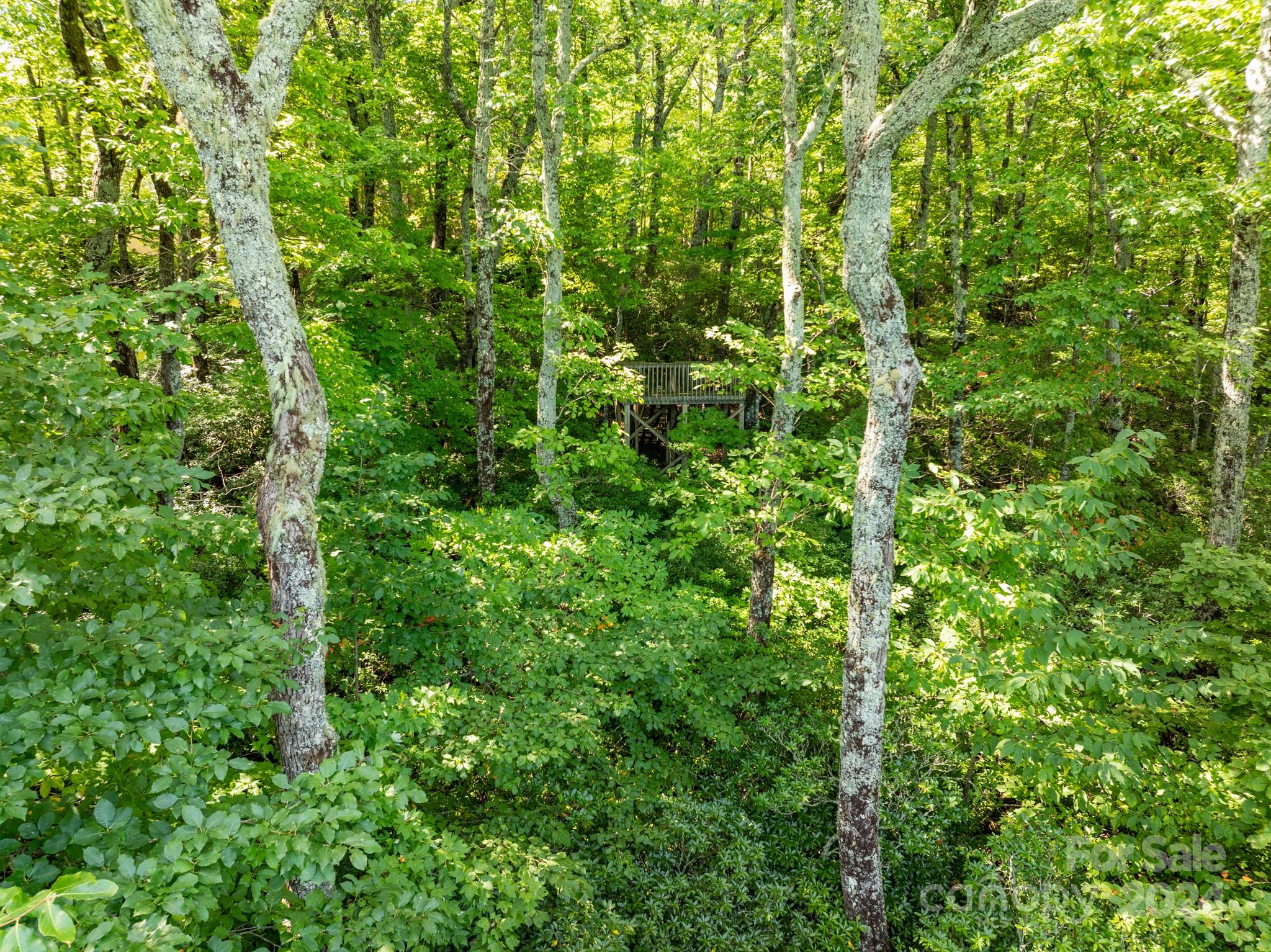 Lot 25 Panther Mountain Road Zirconia NC 28790