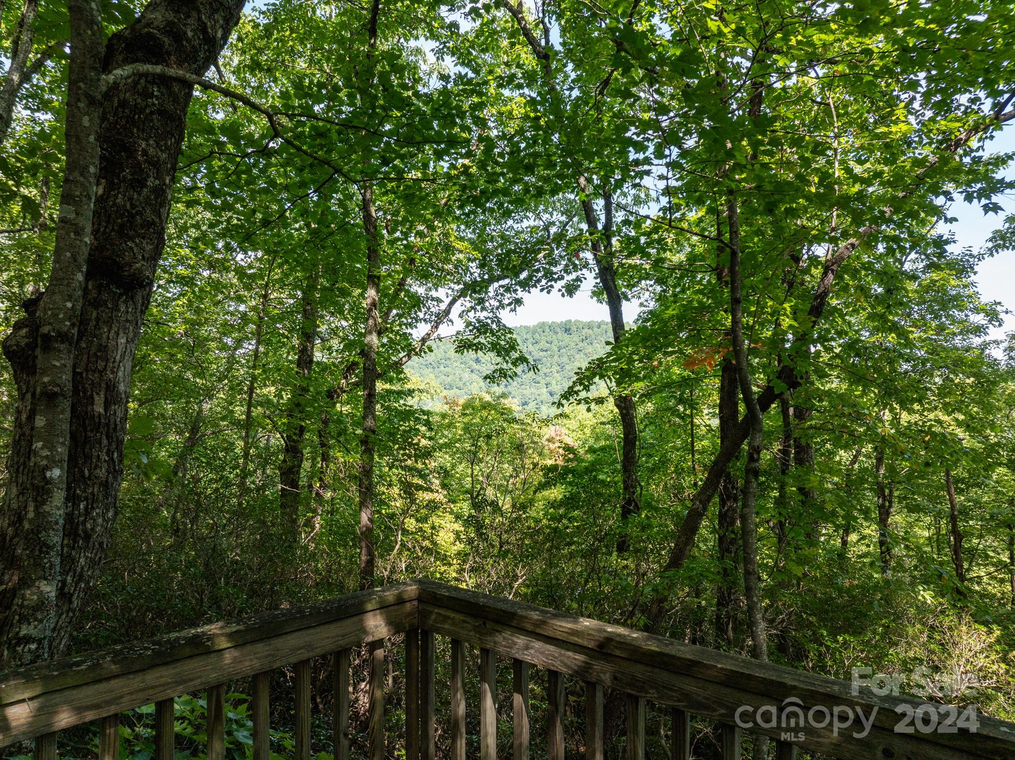 Lot 25 Panther Mountain Road Zirconia NC 28790