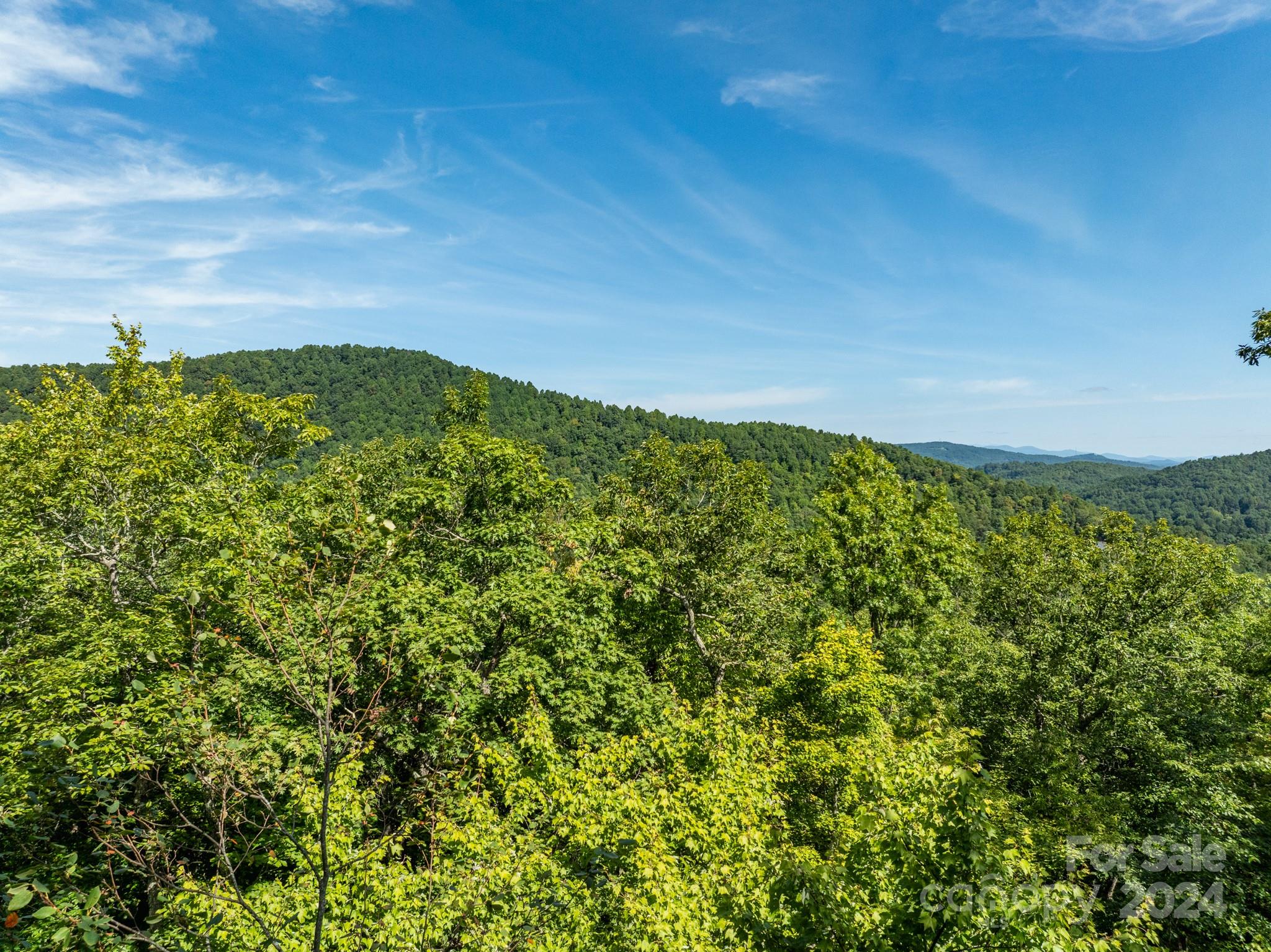 Lot 25 Panther Mountain Road Zirconia NC 28790