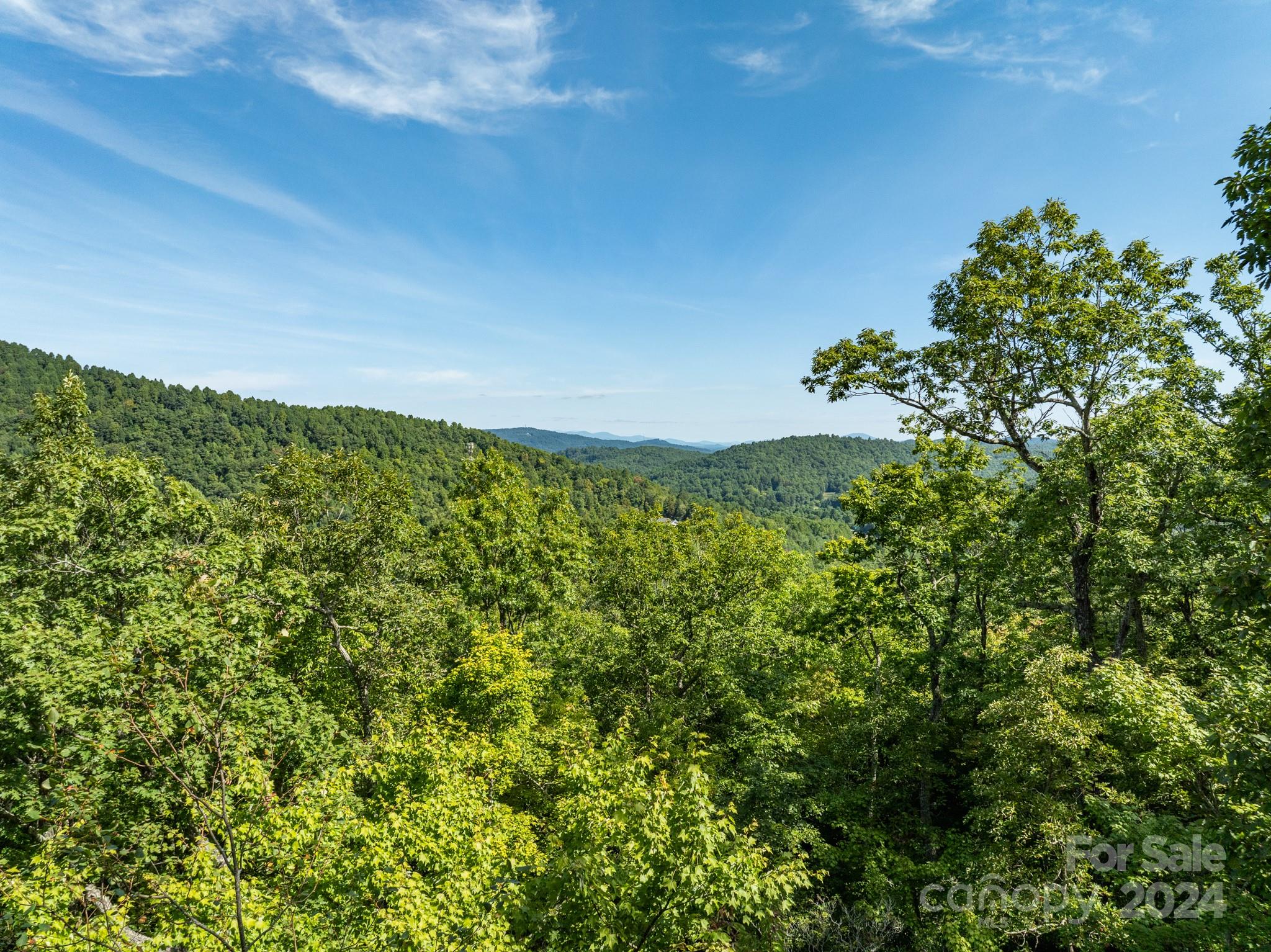 Lot 25 Panther Mountain Road Zirconia NC 28790