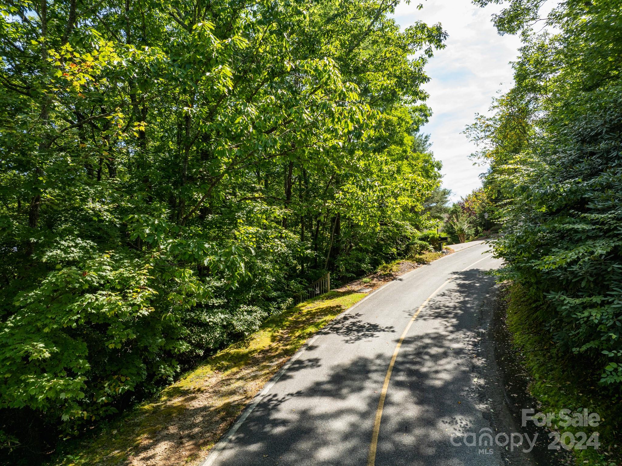 Lot 25 Panther Mountain Road Zirconia NC 28790