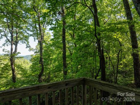 Lot 25 Panther Mountain Road Zirconia NC 28790