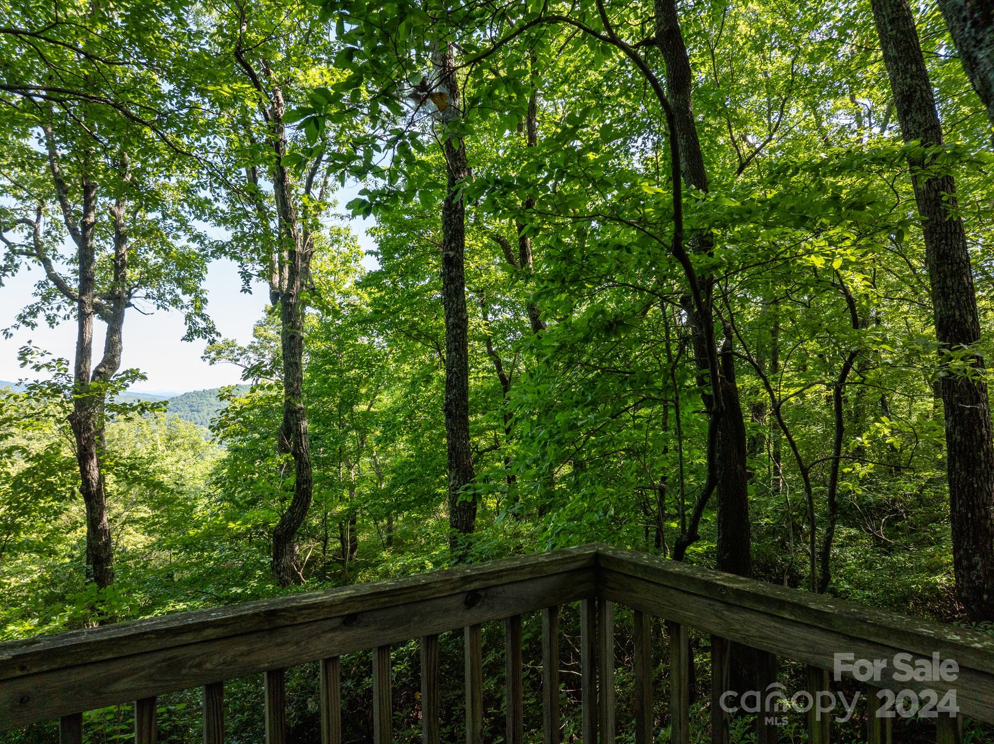 Lot 25 Panther Mountain Road Zirconia NC 28790
