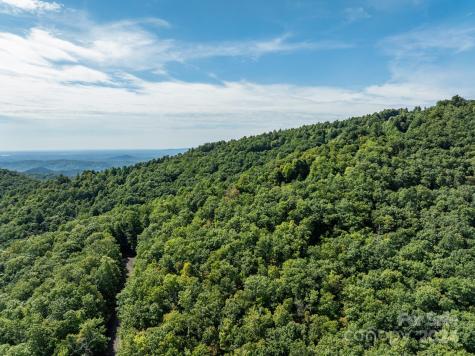 Lot 25 Panther Mountain Road Zirconia NC 28790