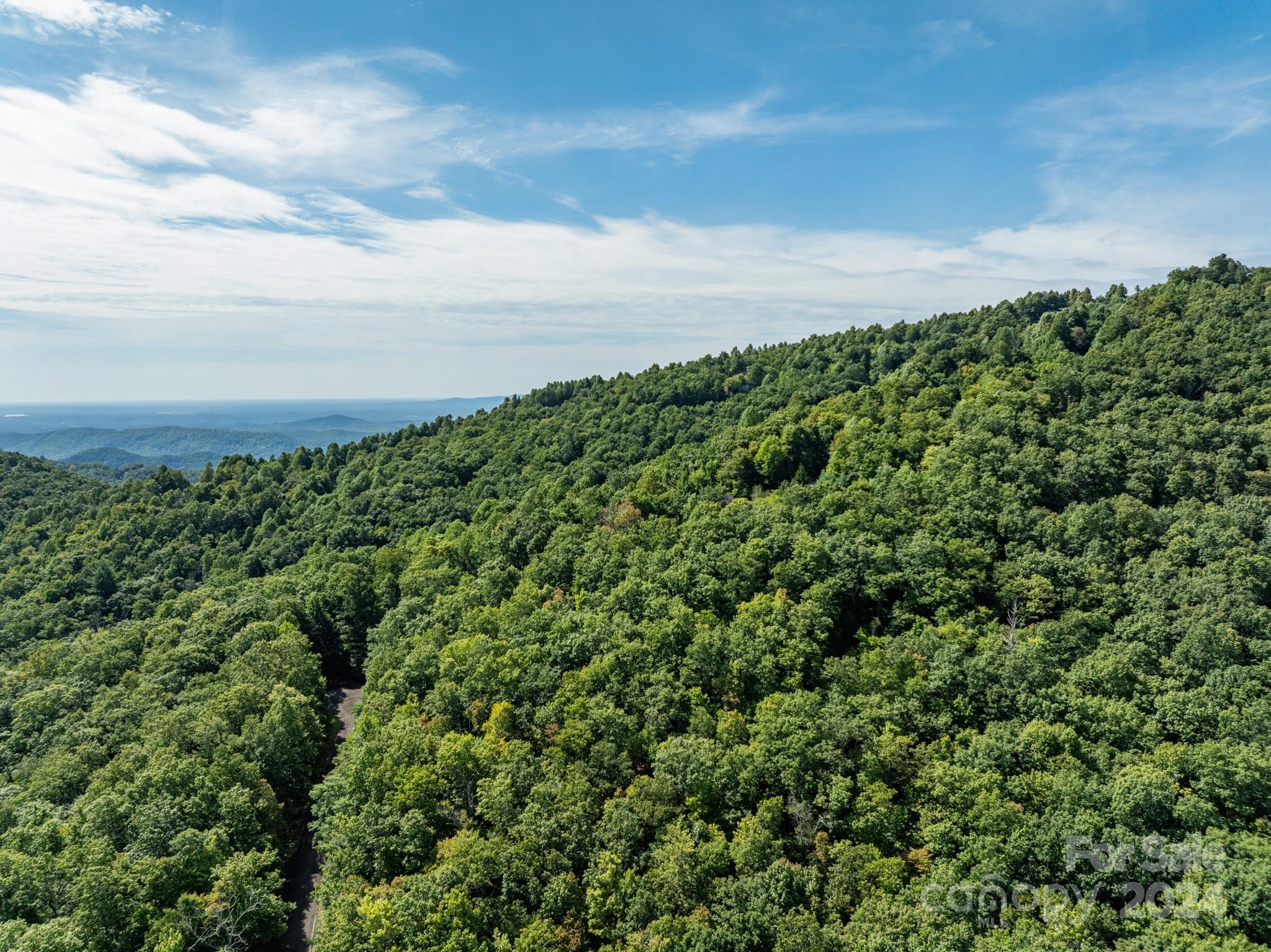 Lot 25 Panther Mountain Road Zirconia NC 28790