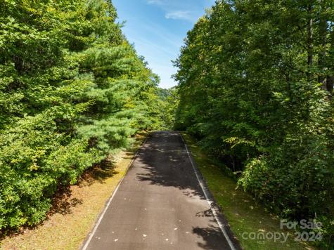 Lot 25 Panther Mountain Road Zirconia NC 28790