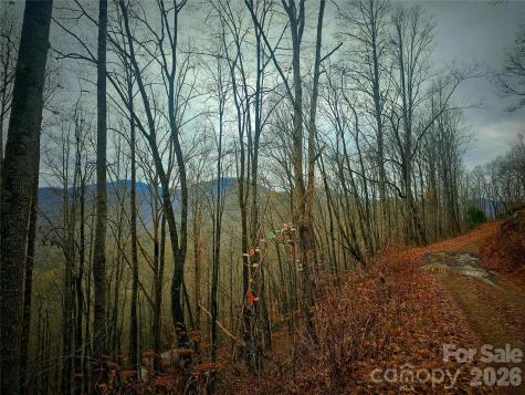 21 Long Winding Road Sylva NC 28779