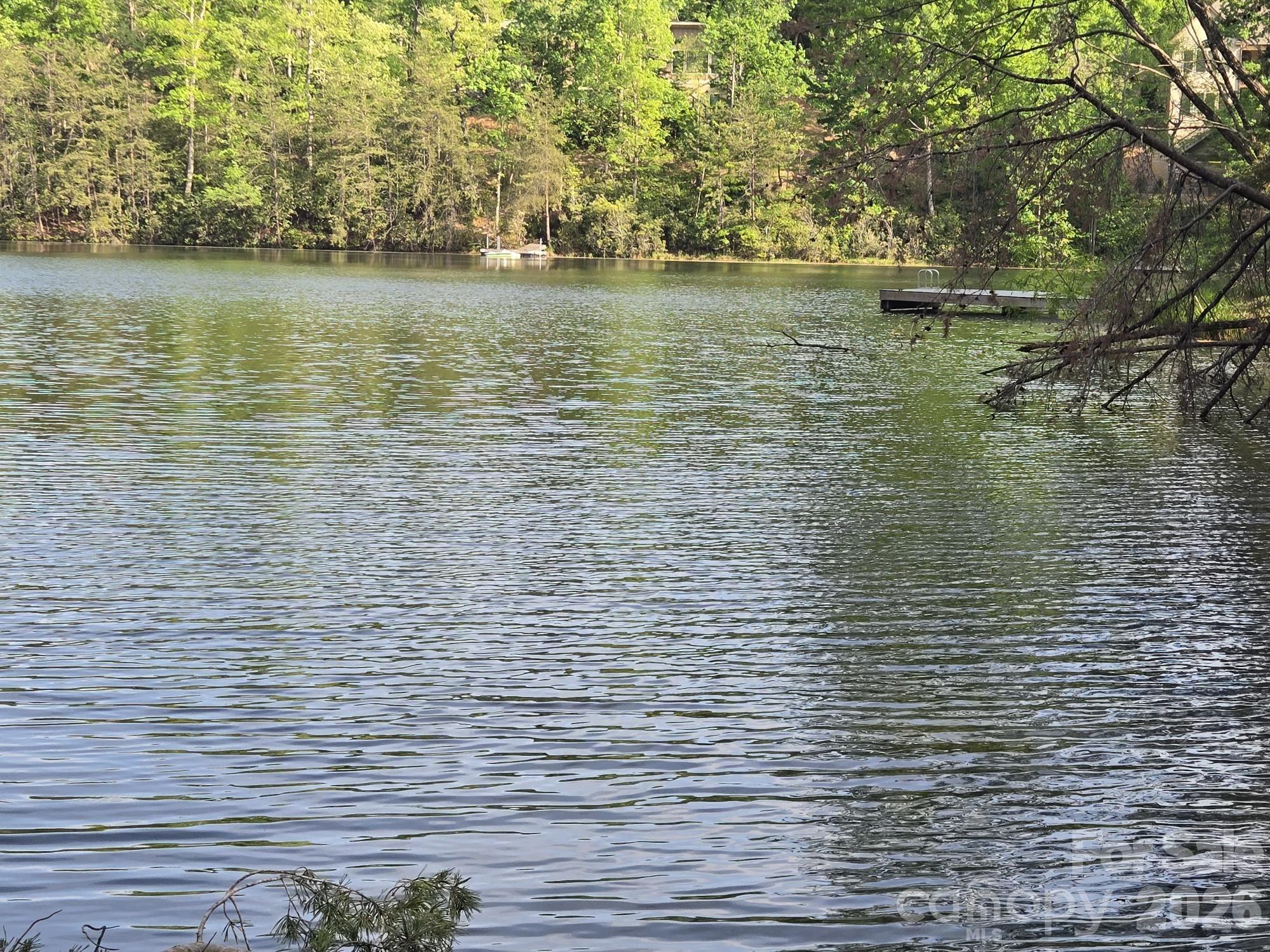 Lot 88 Woodland Circle Lake Lure NC 28746