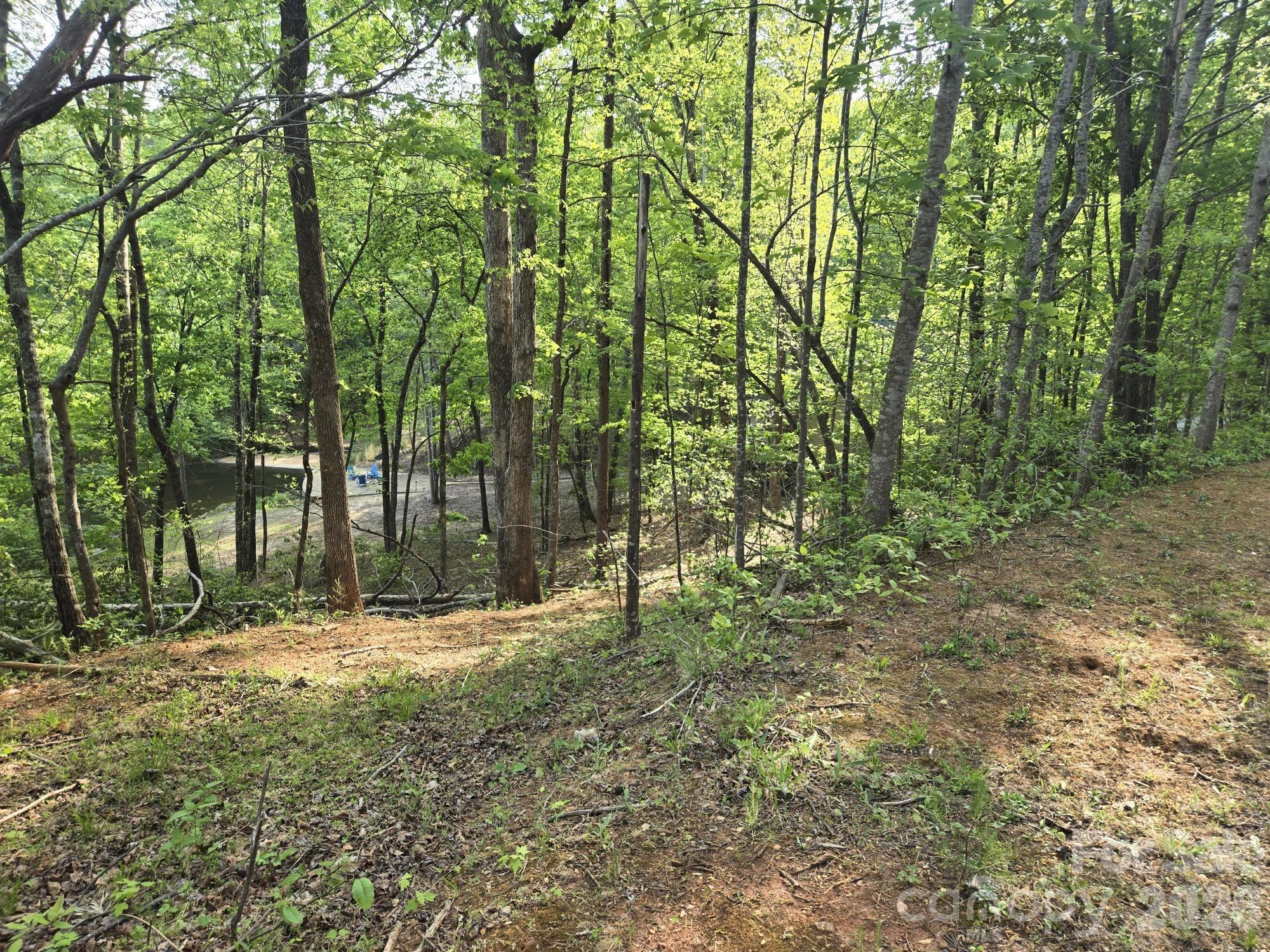 Lot 88 Woodland Circle Lake Lure NC 28746