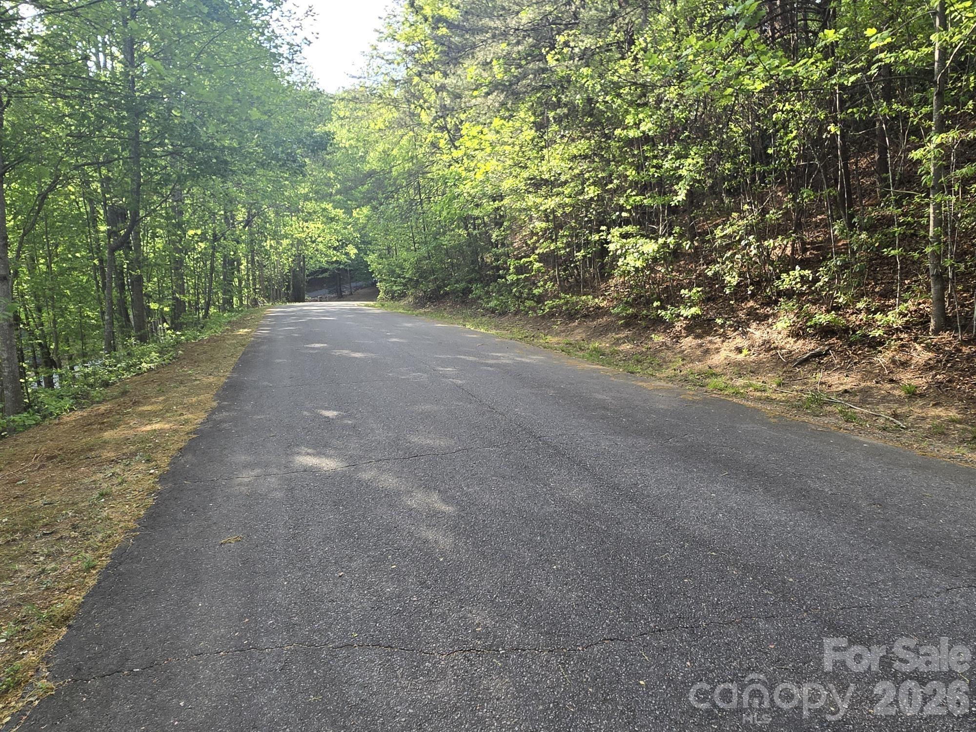 Lot 88 Woodland Circle Lake Lure NC 28746