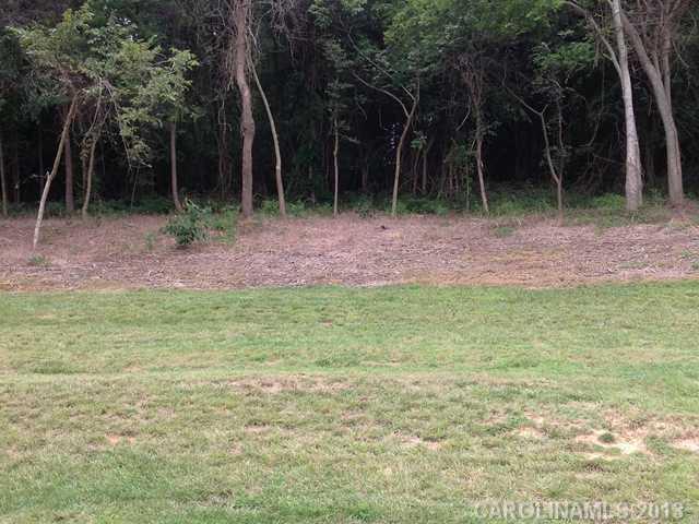4121 Piaffe Avenue Mint Hill NC 28227