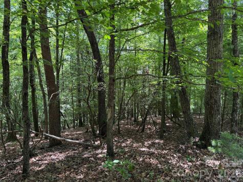 Tbd Pine Burr Drive Purlear NC 28665