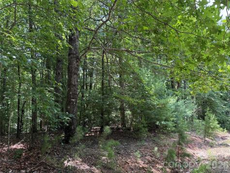 Tbd Pine Burr Drive Purlear NC 28665