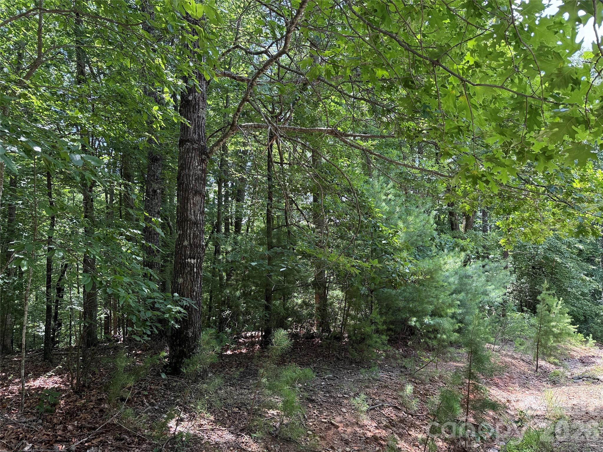 Tbd Pine Burr Drive Purlear NC 28665
