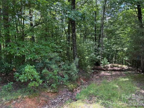 Tbd Pine Burr Drive Purlear NC 28665