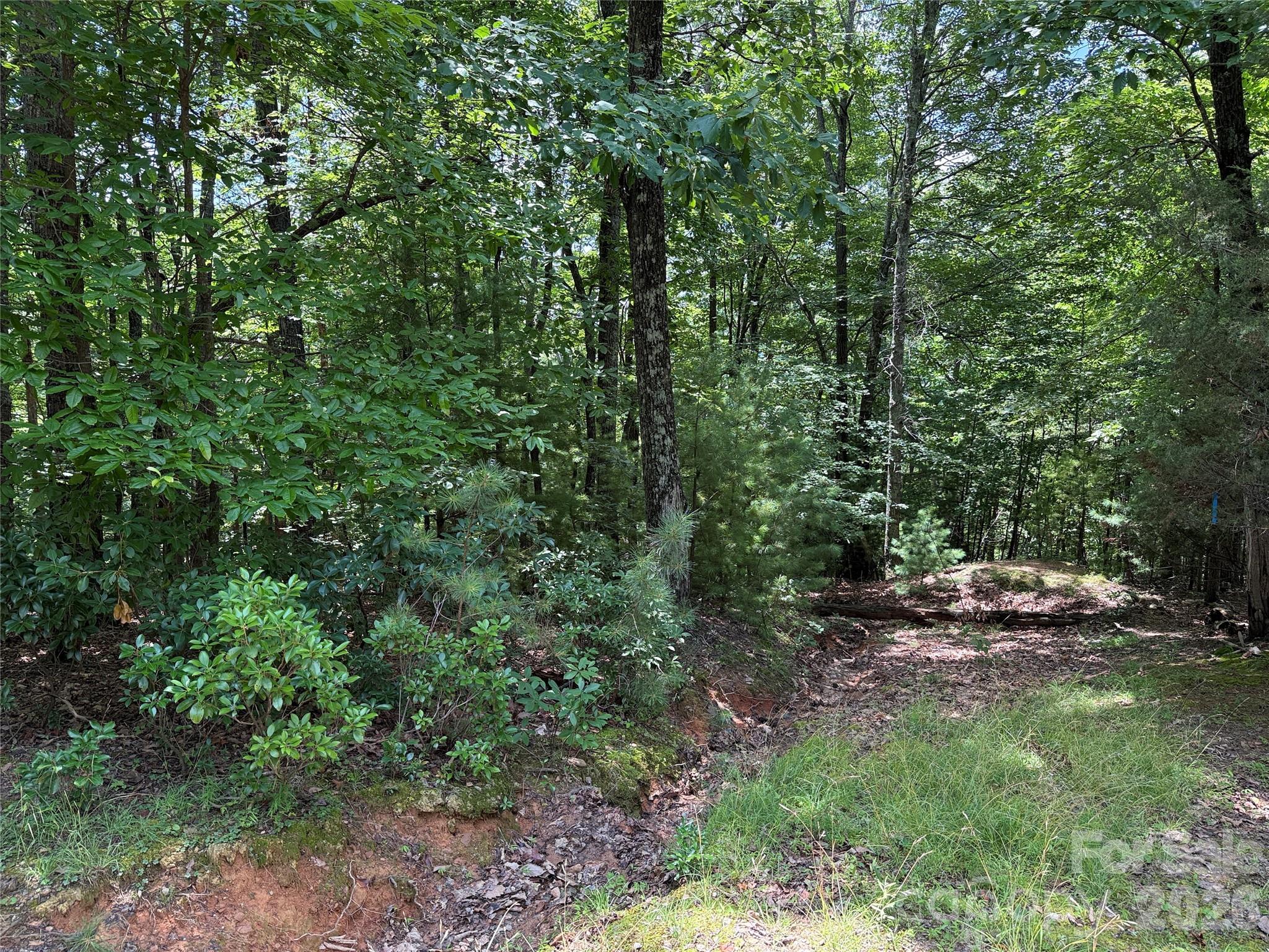 Tbd Pine Burr Drive Purlear NC 28665