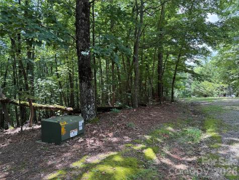 Tbd Pine Burr Drive Purlear NC 28665