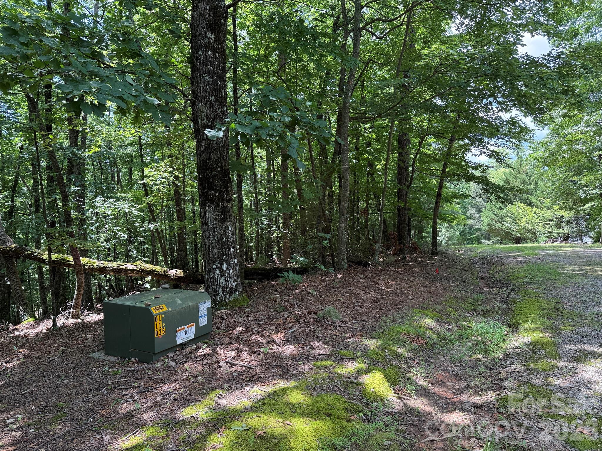 Tbd Pine Burr Drive Purlear NC 28665