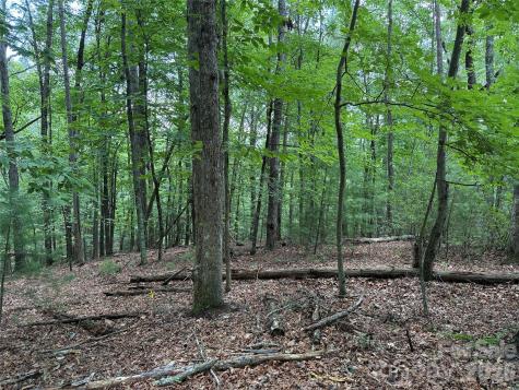 Tbd Pine Burr Drive Purlear NC 28665