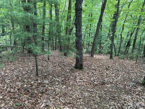 Tbd Pine Burr Drive Purlear NC 28665
