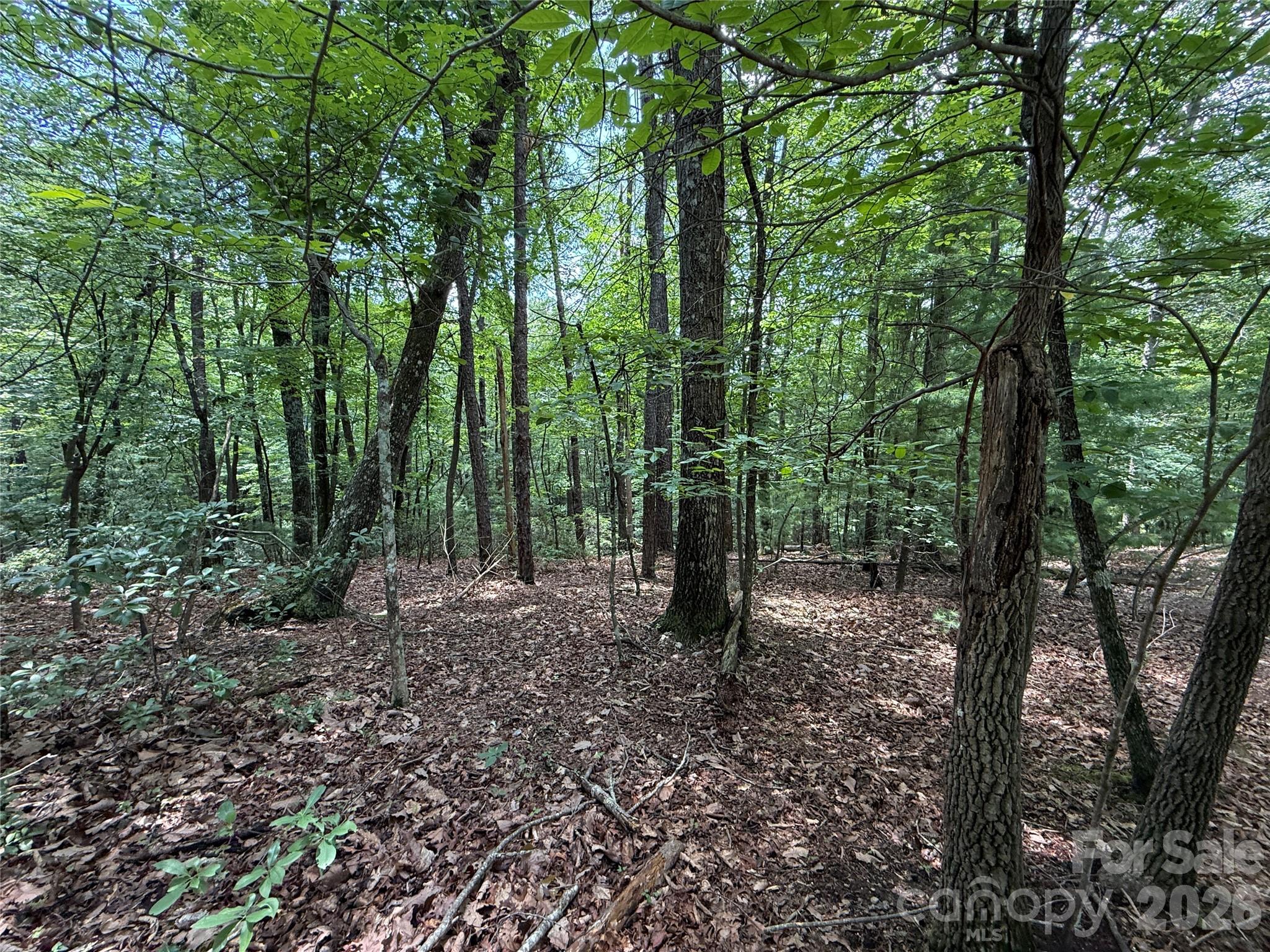 Tbd Pine Burr Drive Purlear NC 28665