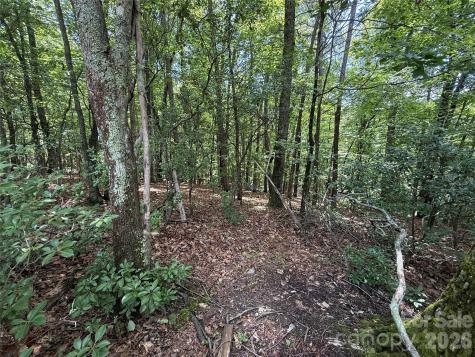 Tbd Pine Burr Drive Purlear NC 28665