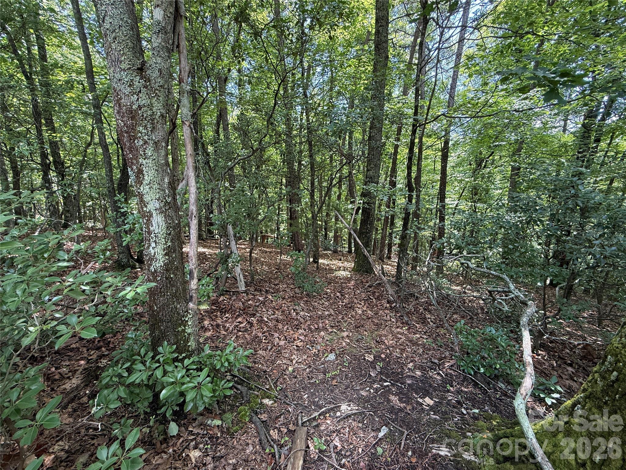 Tbd Pine Burr Drive Purlear NC 28665