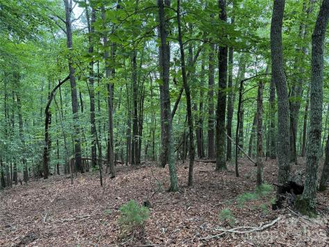 Tbd Pine Burr Drive Purlear NC 28665