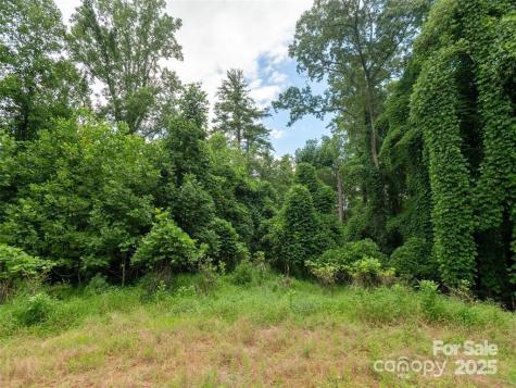 00 Willow Brook Falls Hendersonville NC 28739