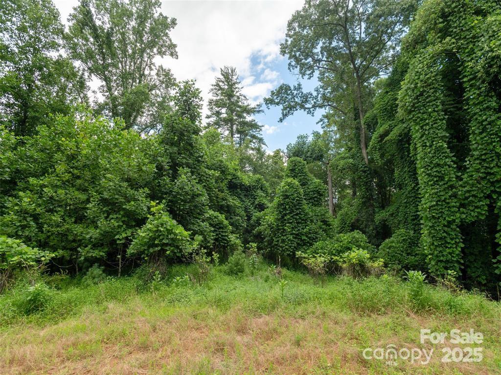 00 Willow Brook Falls Hendersonville NC 28739