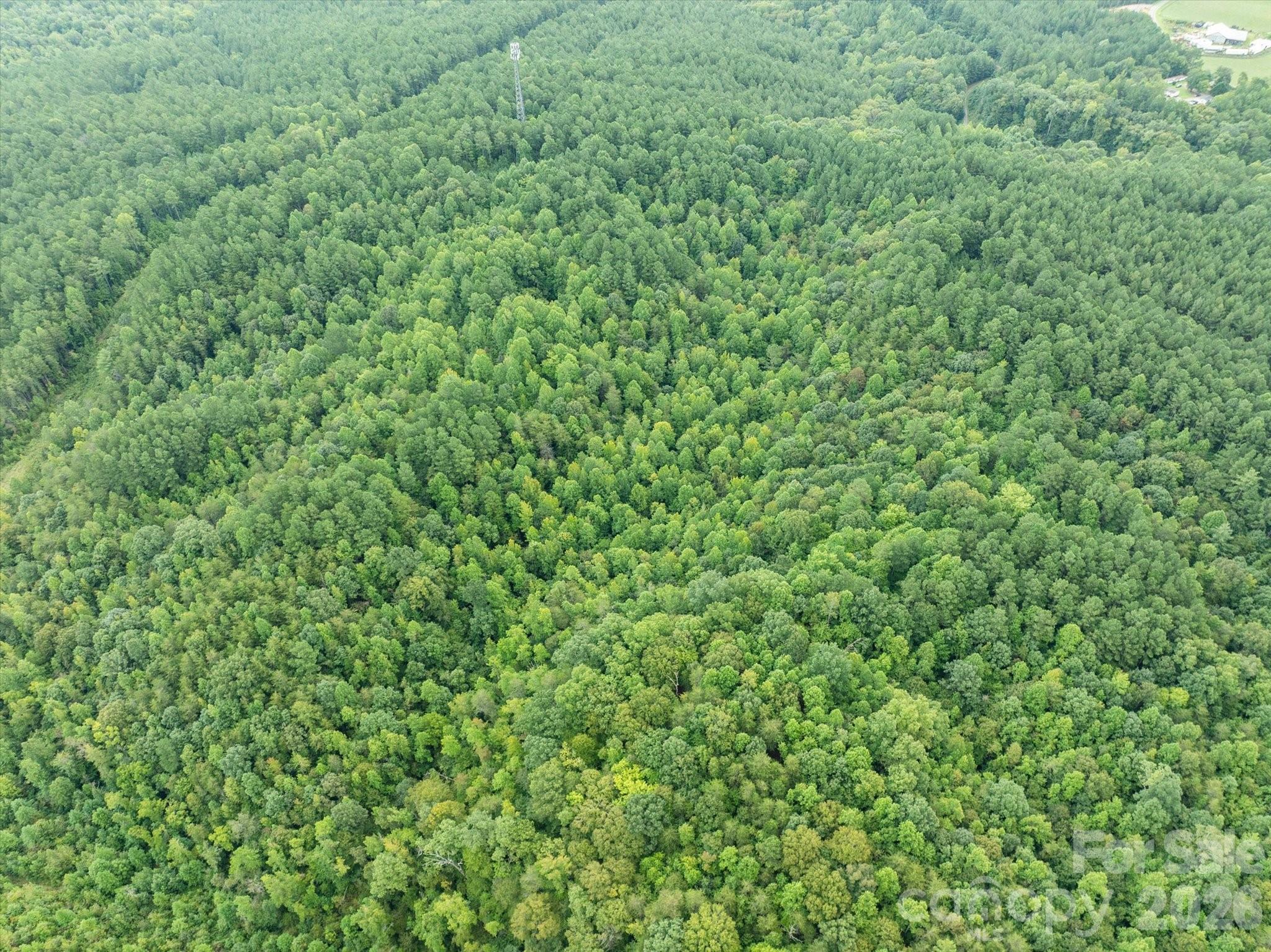 Tbd Pea Ridge Road Mill Spring NC 28756