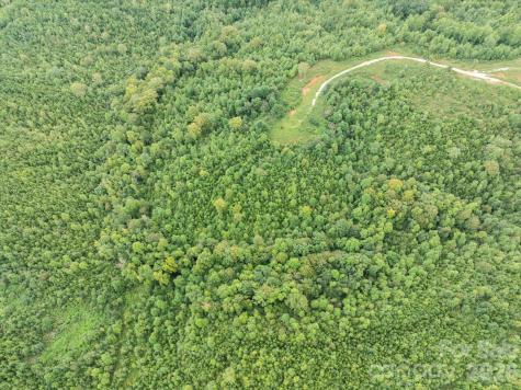 Tbd Pea Ridge Road Mill Spring NC 28756