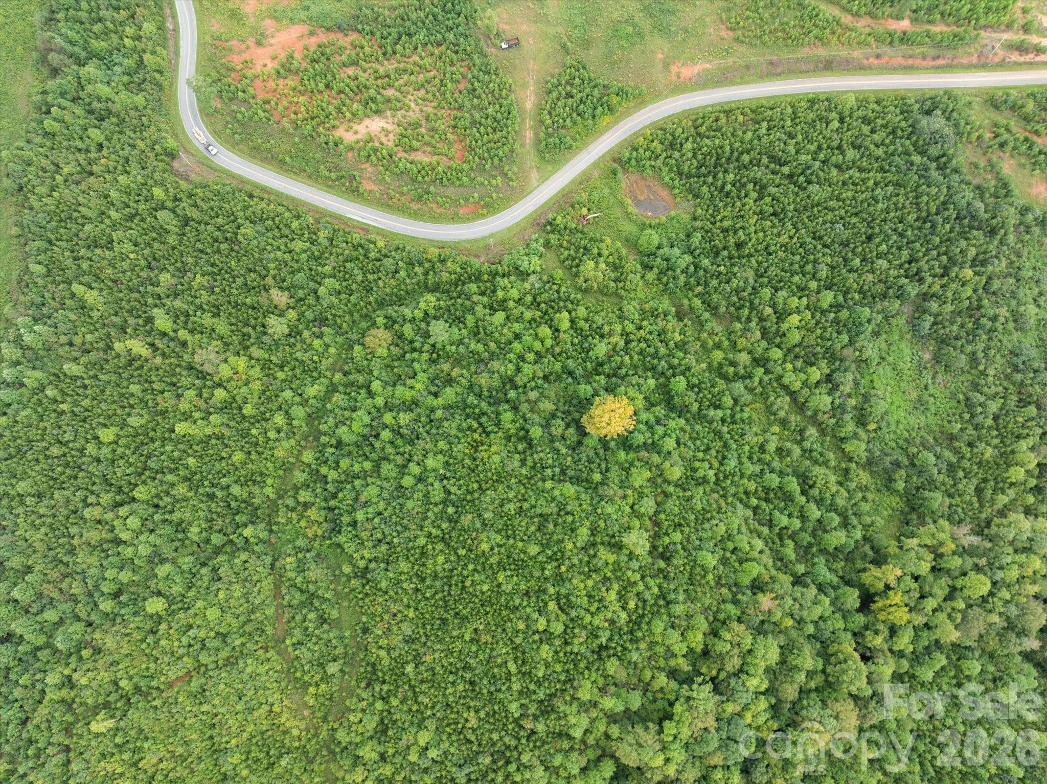 Tbd Pea Ridge Road Mill Spring NC 28756