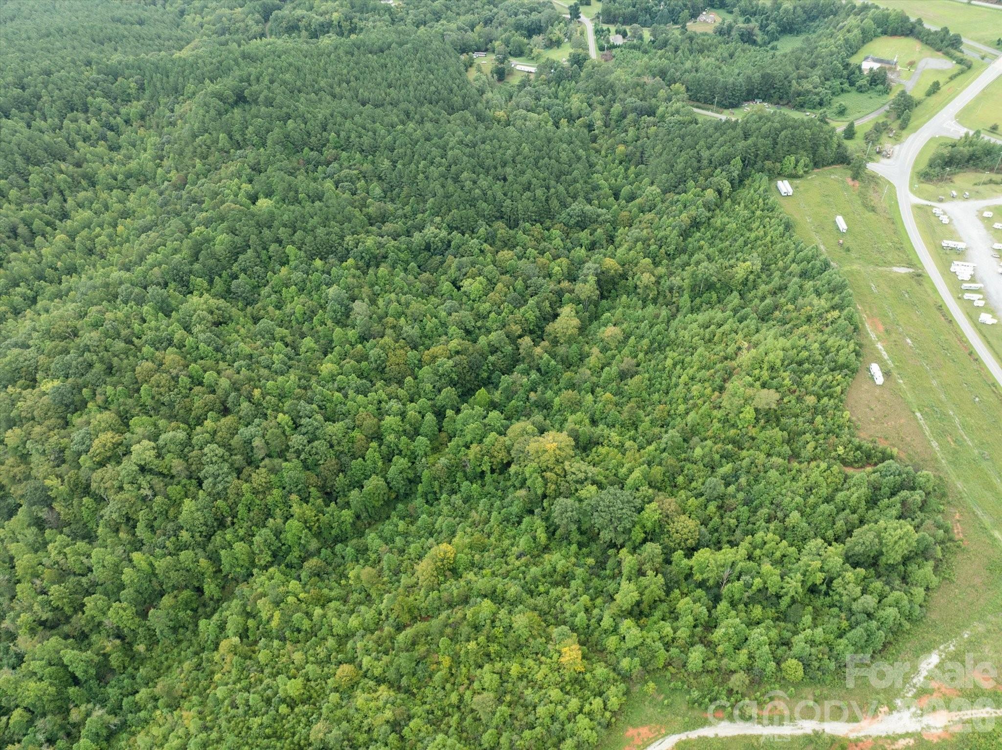 Tbd Pea Ridge Road Mill Spring NC 28756
