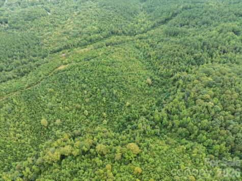 Tbd Pea Ridge Road Mill Spring NC 28756