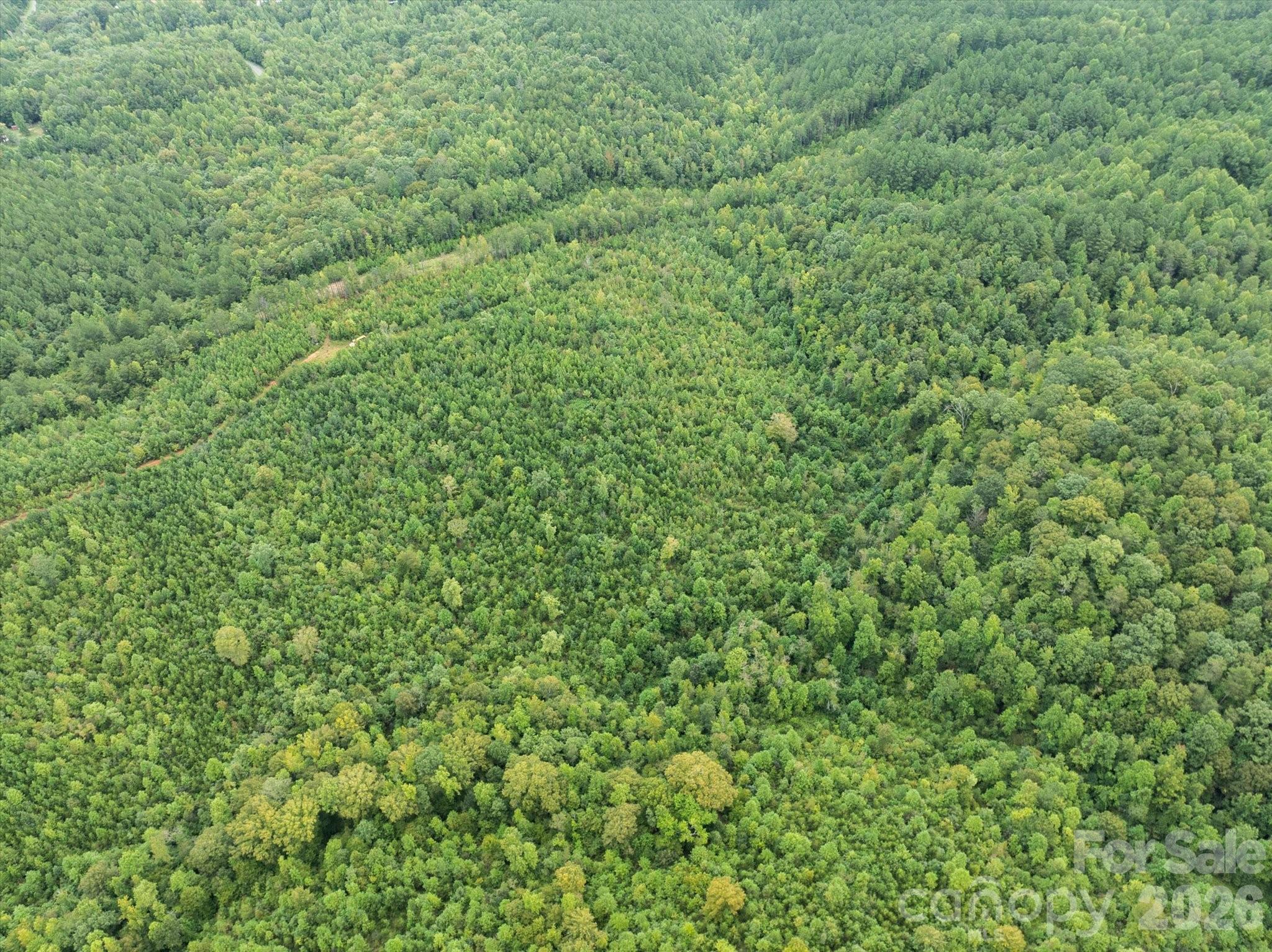 Tbd Pea Ridge Road Mill Spring NC 28756