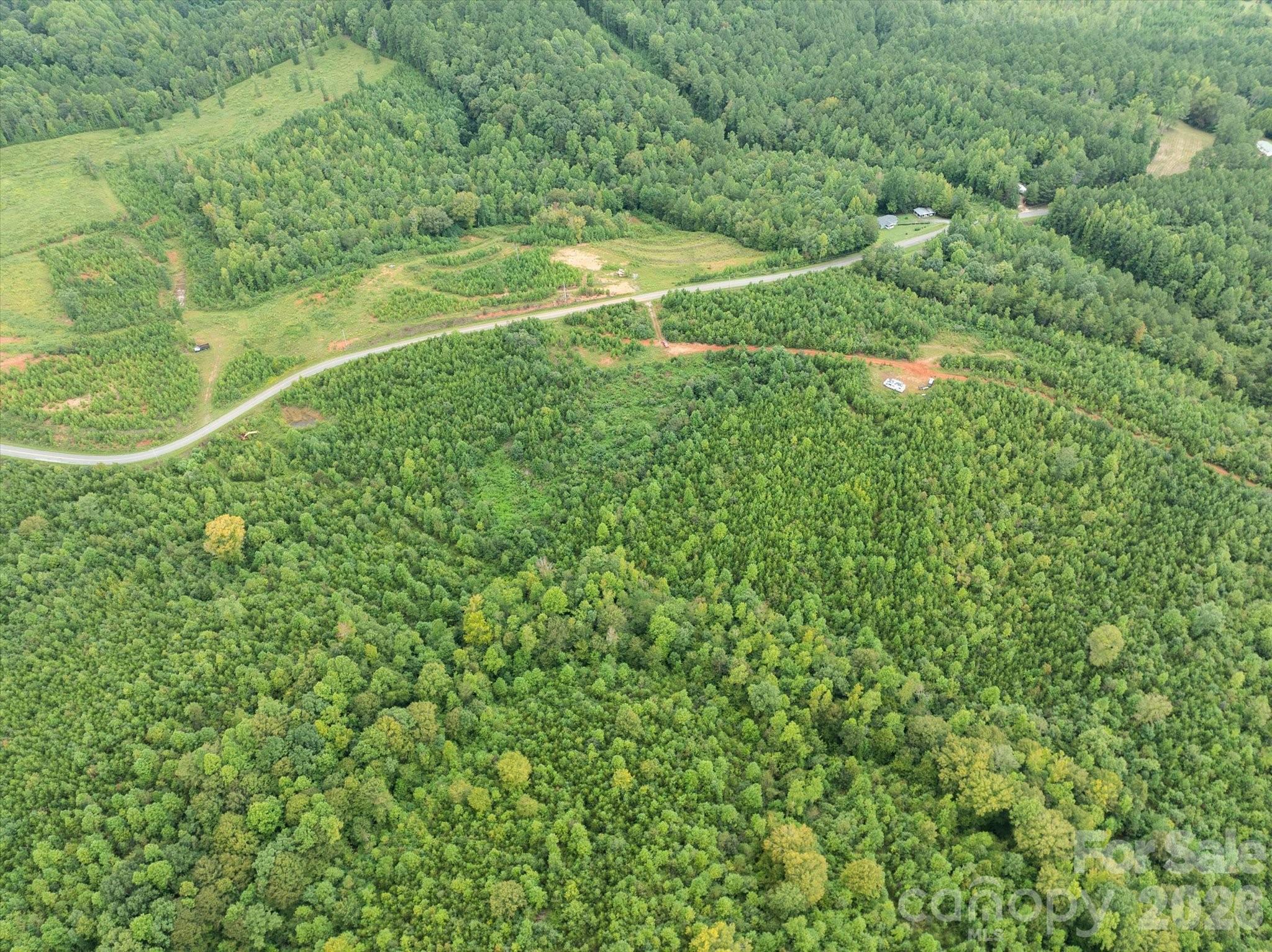 Tbd Pea Ridge Road Mill Spring NC 28756