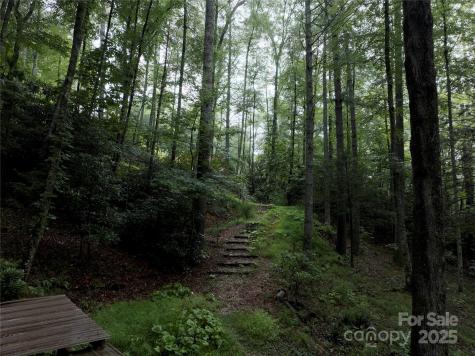 191 Pack Drive Spruce Pine NC 28777
