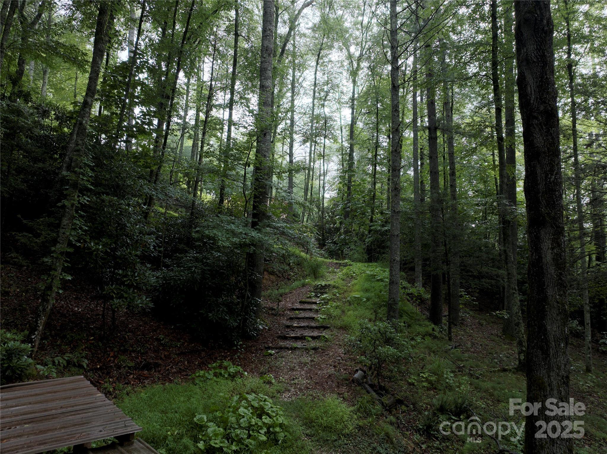 191 Pack Drive Spruce Pine NC 28777