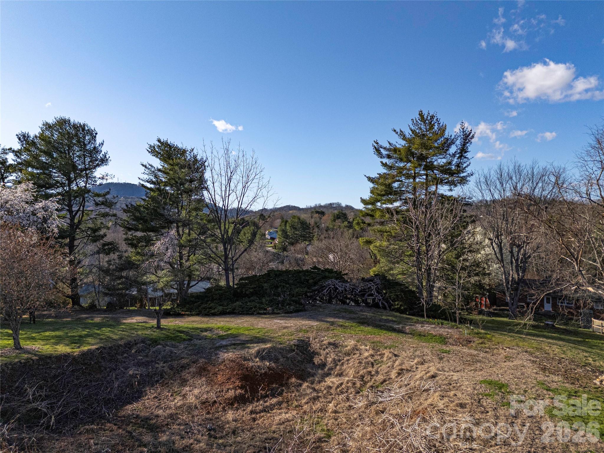 14 Mountain Terrace Asheville NC 28806