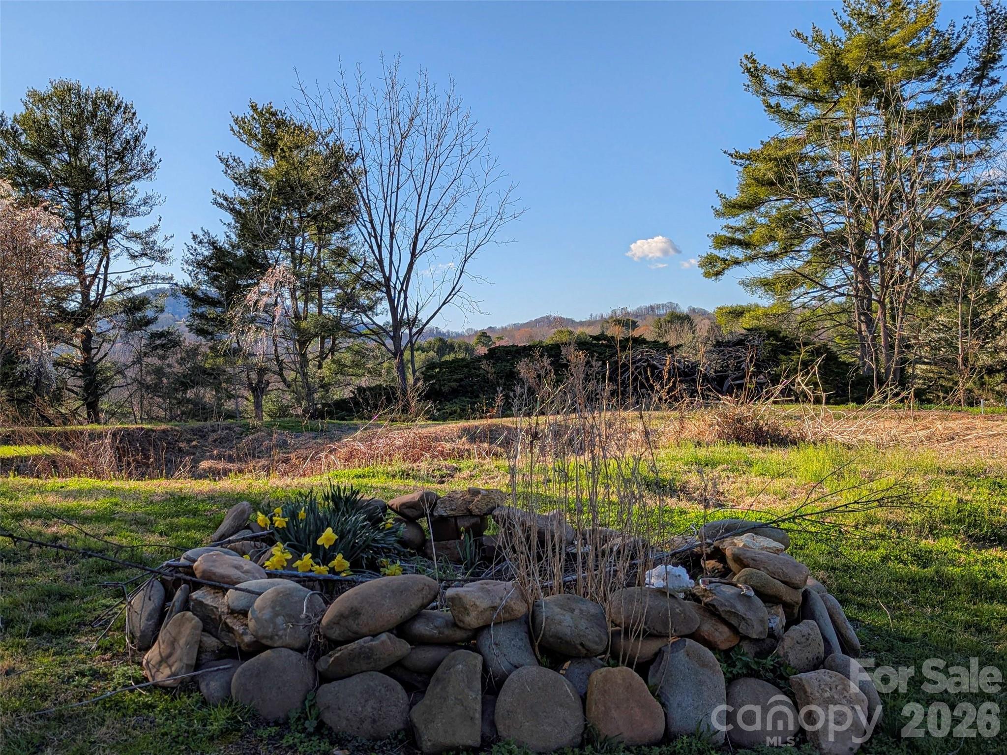 14 Mountain Terrace Asheville NC 28806