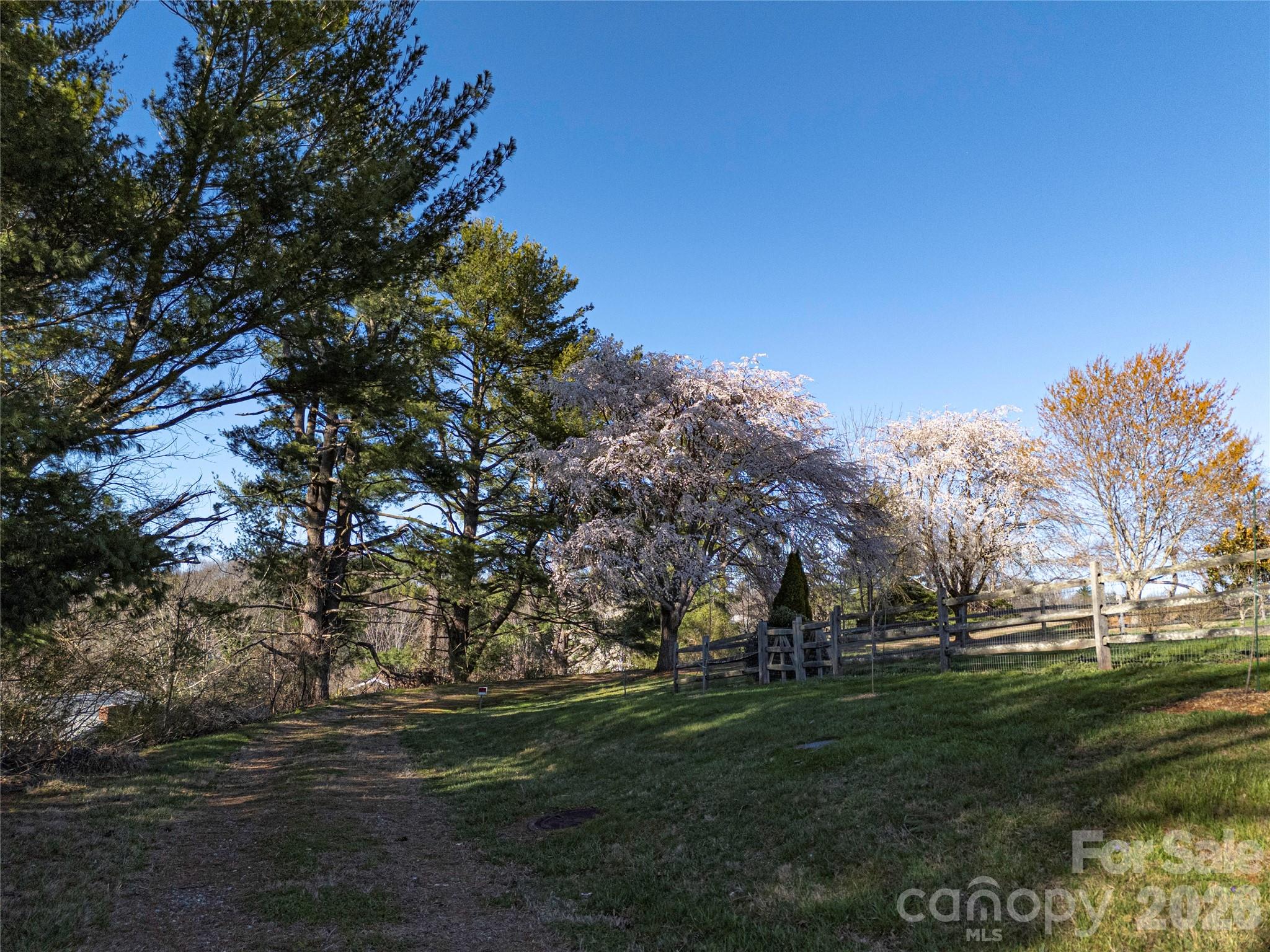 14 Mountain Terrace Asheville NC 28806