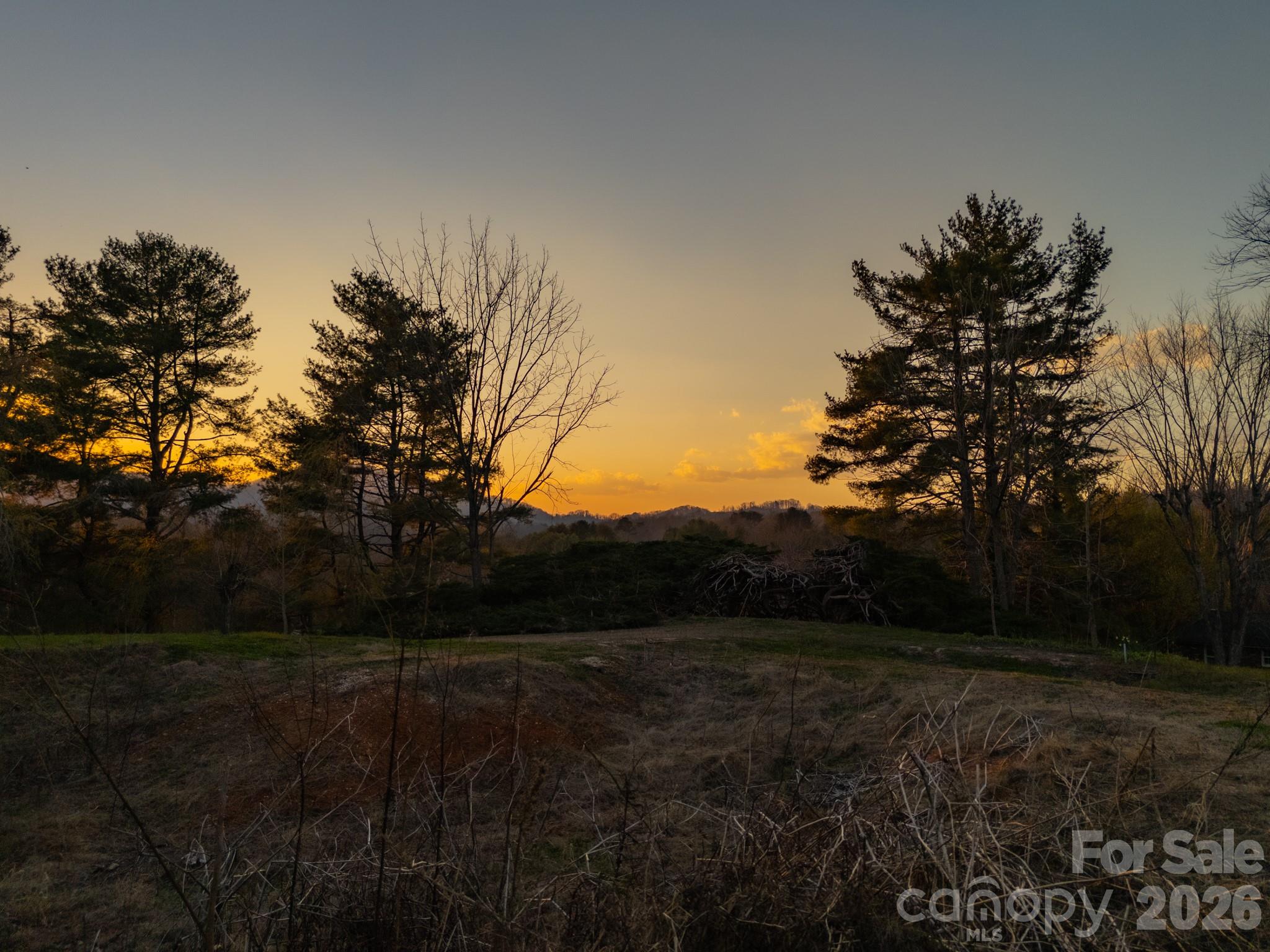 14 Mountain Terrace Asheville NC 28806