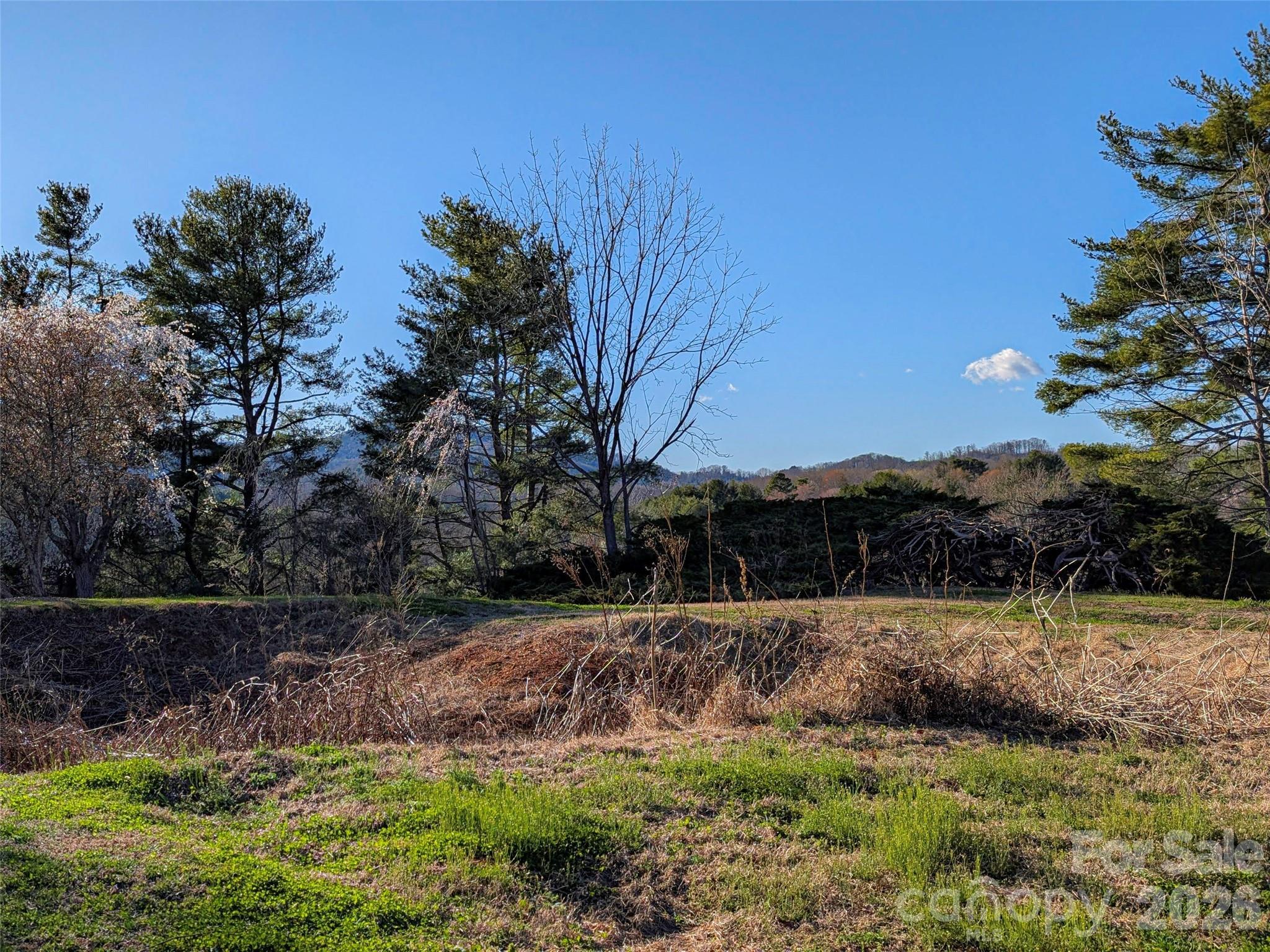 14 Mountain Terrace Asheville NC 28806