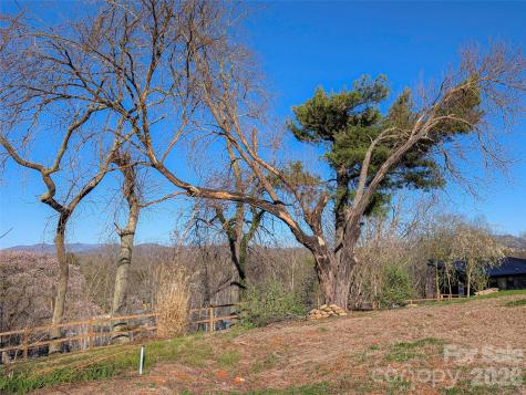 14 Mountain Terrace Asheville NC 28806