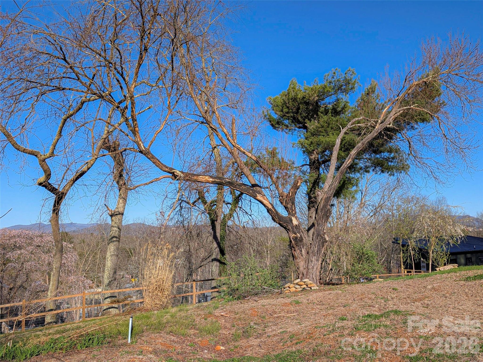 14 Mountain Terrace Asheville NC 28806