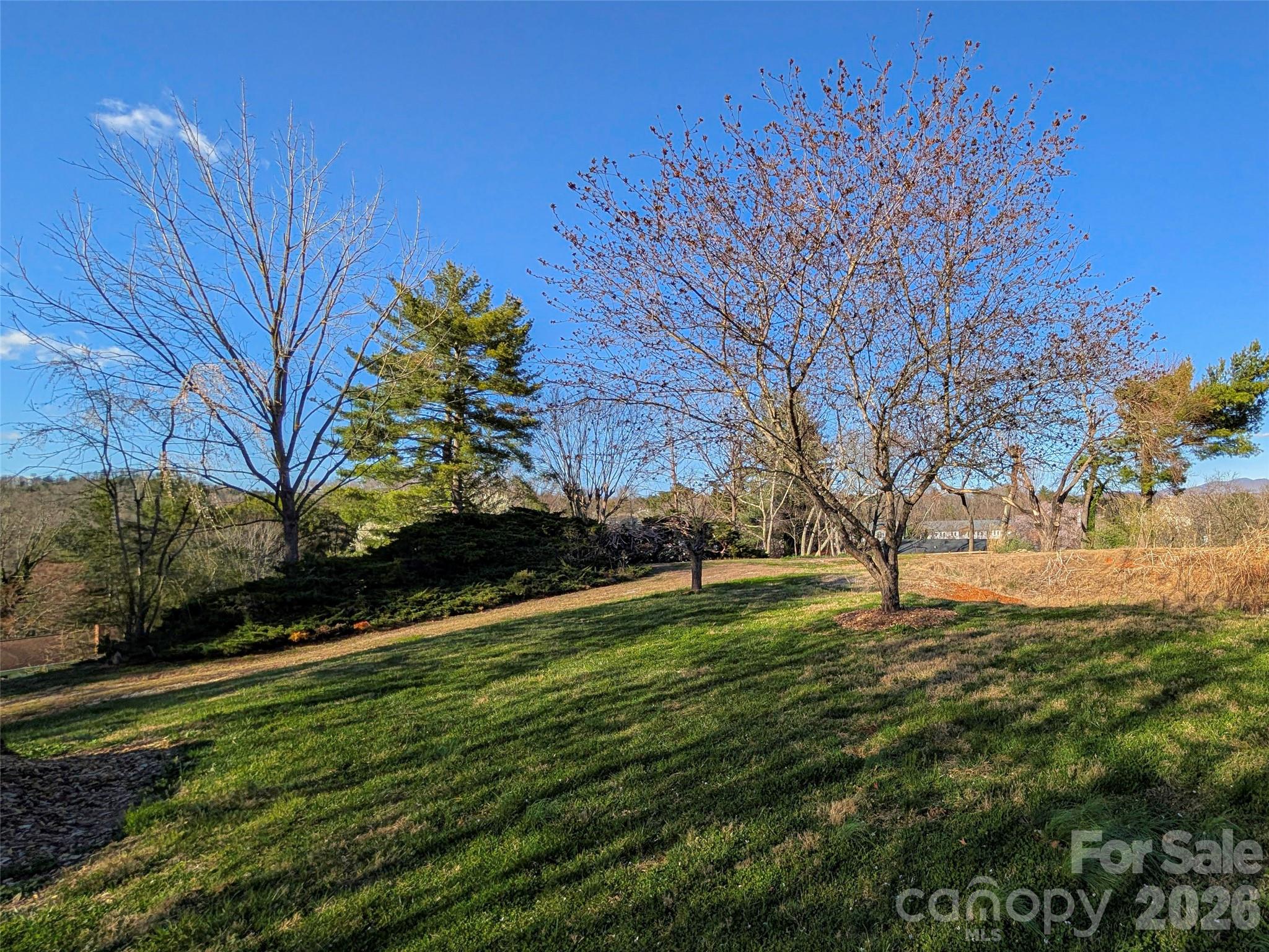 14 Mountain Terrace Asheville NC 28806