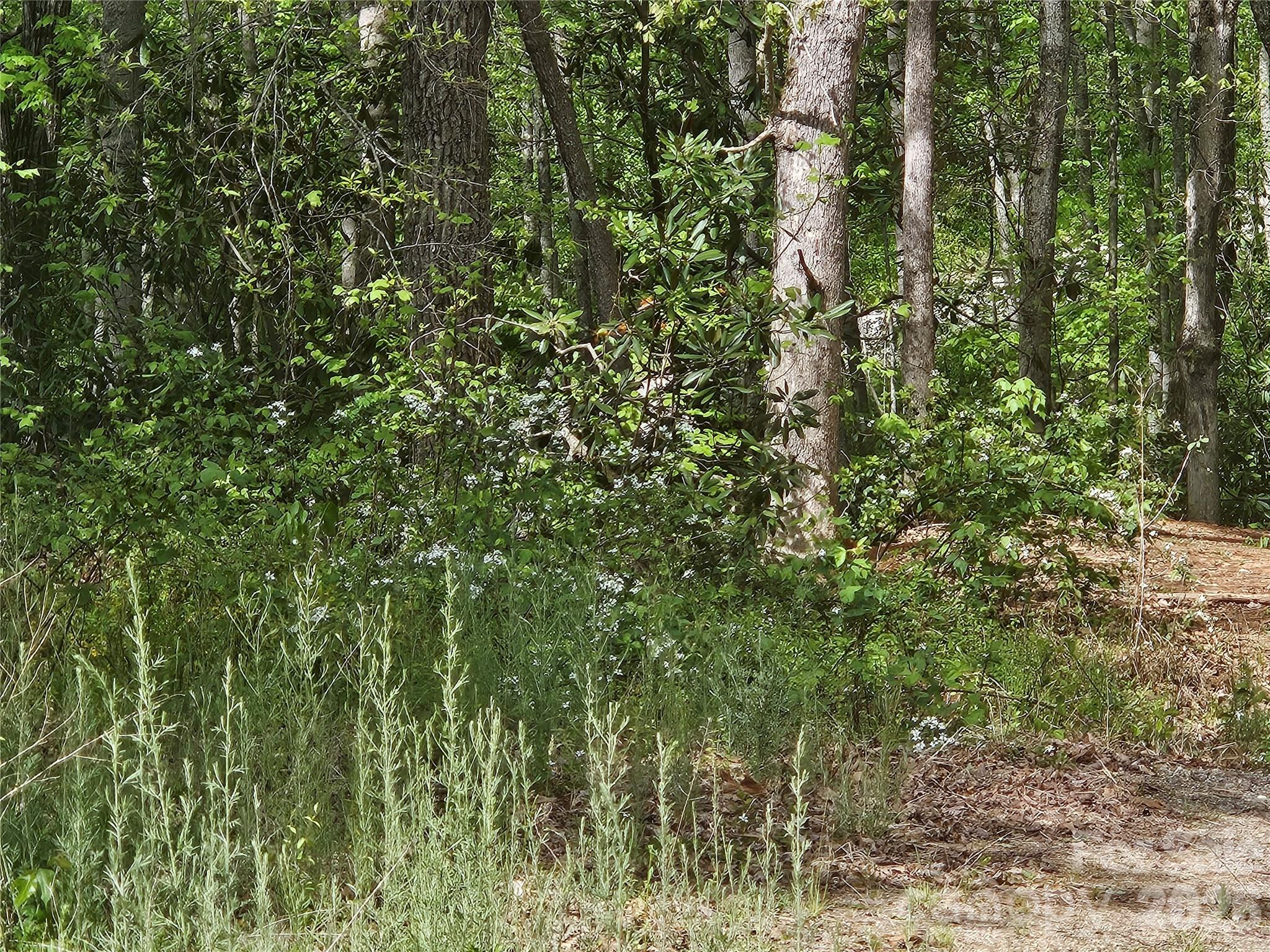 22 Graulich Lane Candler NC 28715