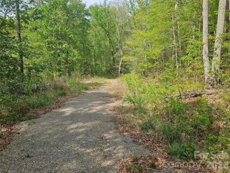 22 Graulich Lane Candler NC 28715